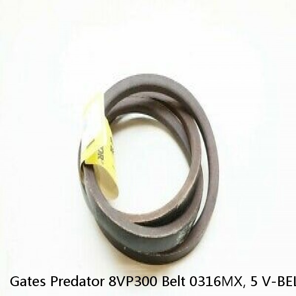 Gates Predator 8VP300 Belt 0316MX, 5 V-BELTS WIDE, 25' 