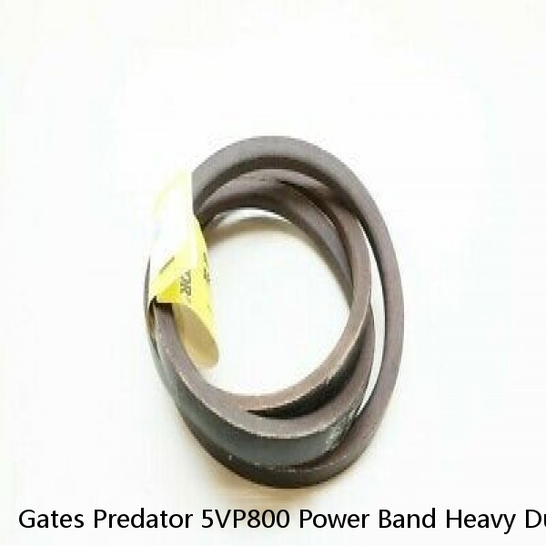 Gates Predator 5VP800 Power Band Heavy Duty V-Belt
