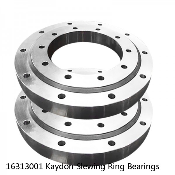 16313001 Kaydon Slewing Ring Bearings #1 small image