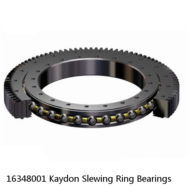 16348001 Kaydon Slewing Ring Bearings #1 small image