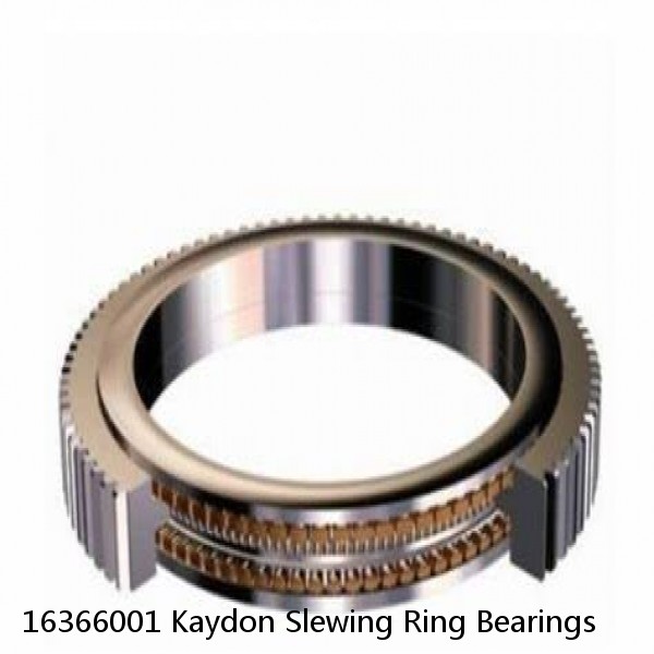 16366001 Kaydon Slewing Ring Bearings