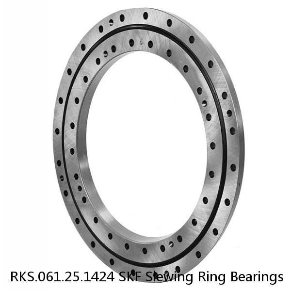 RKS.061.25.1424 SKF Slewing Ring Bearings #1 small image