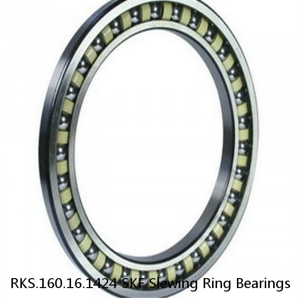 RKS.160.16.1424 SKF Slewing Ring Bearings #1 small image