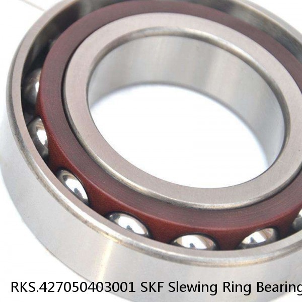 RKS.427050403001 SKF Slewing Ring Bearings #1 small image