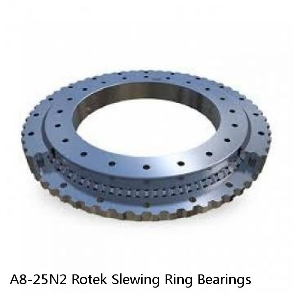 A8-25N2 Rotek Slewing Ring Bearings #1 small image