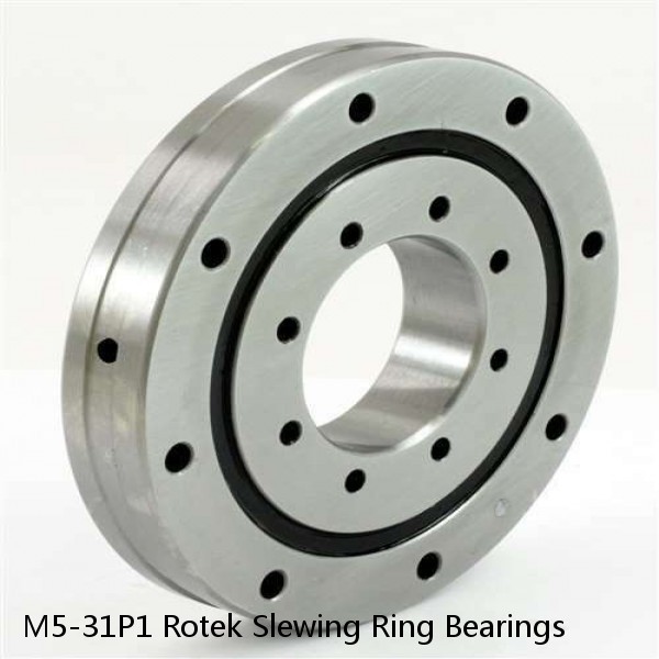 M5-31P1 Rotek Slewing Ring Bearings #1 small image