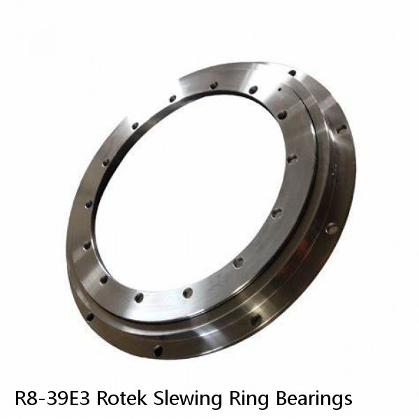R8-39E3 Rotek Slewing Ring Bearings #1 small image