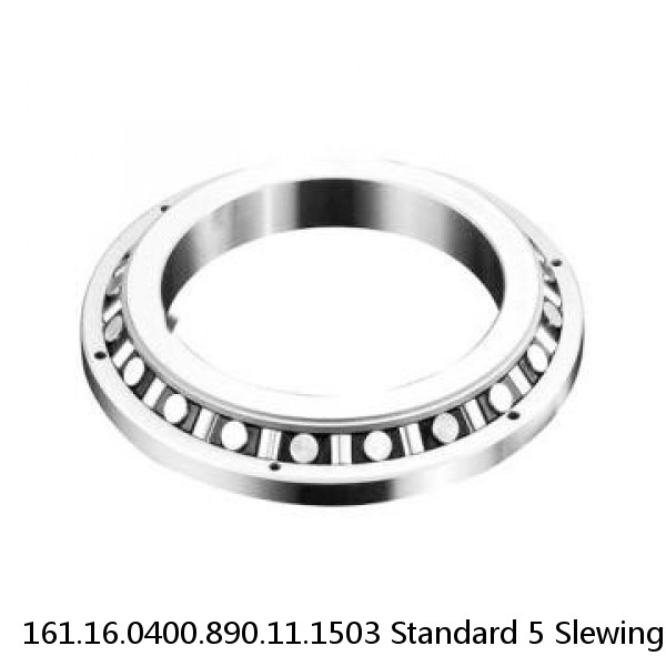 161.16.0400.890.11.1503 Standard 5 Slewing Ring Bearings #1 small image