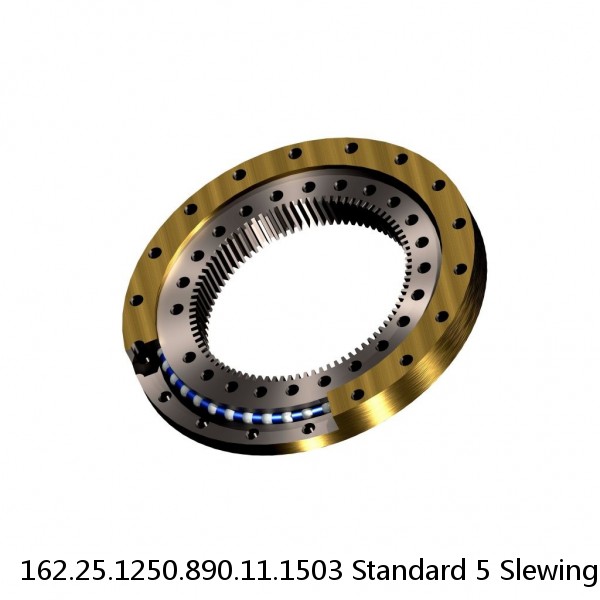 162.25.1250.890.11.1503 Standard 5 Slewing Ring Bearings #1 small image