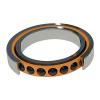 Long Life Spherical Roller Bearing 24124 Ca/Cak/Mbw33c3 with ISO9001