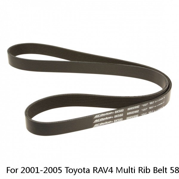 For 2001-2005 Toyota RAV4 Multi Rib Belt 58541NS 2002 2003 2004