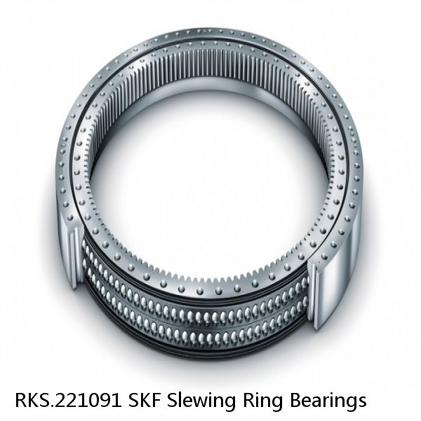 RKS.221091 SKF Slewing Ring Bearings #1 image