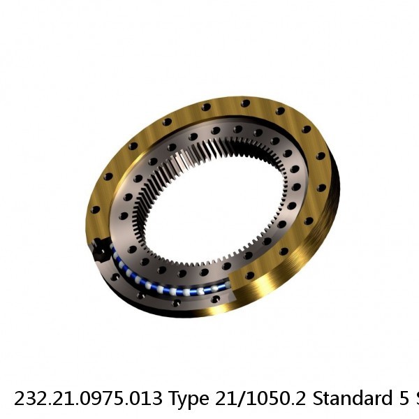 232.21.0975.013 Type 21/1050.2 Standard 5 Slewing Ring Bearings #1 image