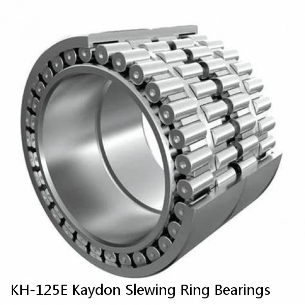 KH-125E Kaydon Slewing Ring Bearings #1 image