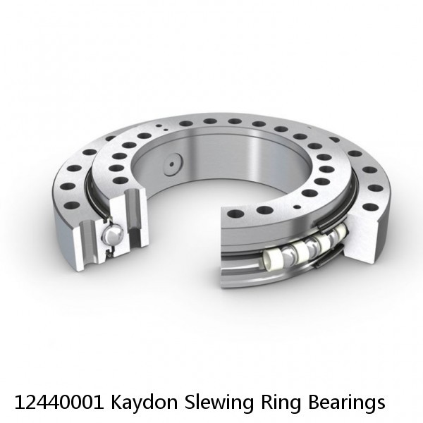 12440001 Kaydon Slewing Ring Bearings #1 image