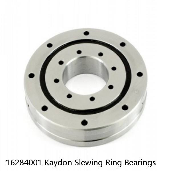 16284001 Kaydon Slewing Ring Bearings #1 image