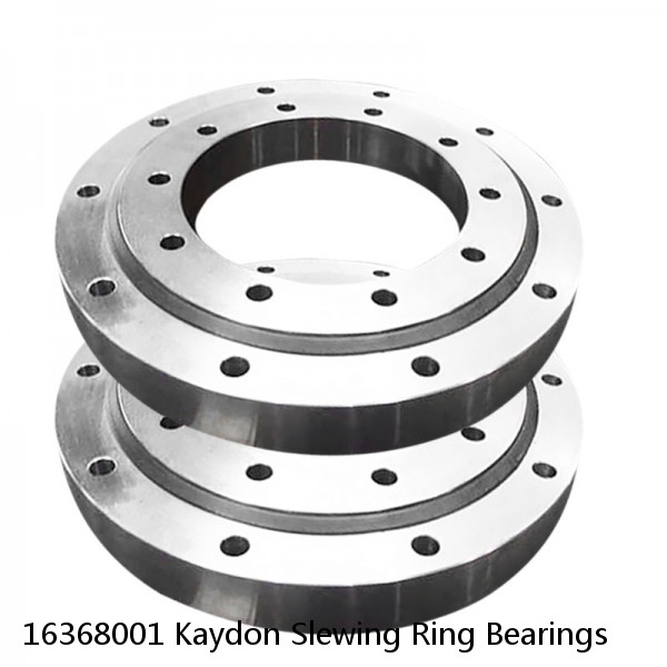 16368001 Kaydon Slewing Ring Bearings #1 image