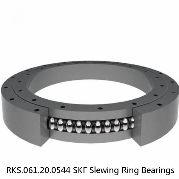 RKS.061.20.0544 SKF Slewing Ring Bearings #1 image