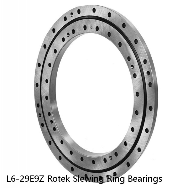 L6-29E9Z Rotek Slewing Ring Bearings #1 image