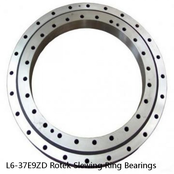 L6-37E9ZD Rotek Slewing Ring Bearings #1 image