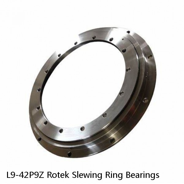 L9-42P9Z Rotek Slewing Ring Bearings #1 image