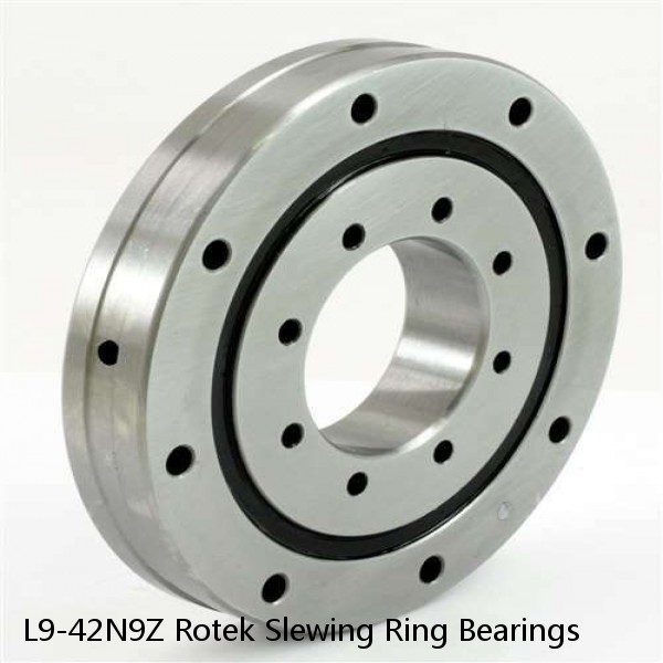 L9-42N9Z Rotek Slewing Ring Bearings #1 image