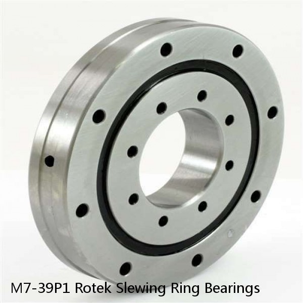 M7-39P1 Rotek Slewing Ring Bearings #1 image