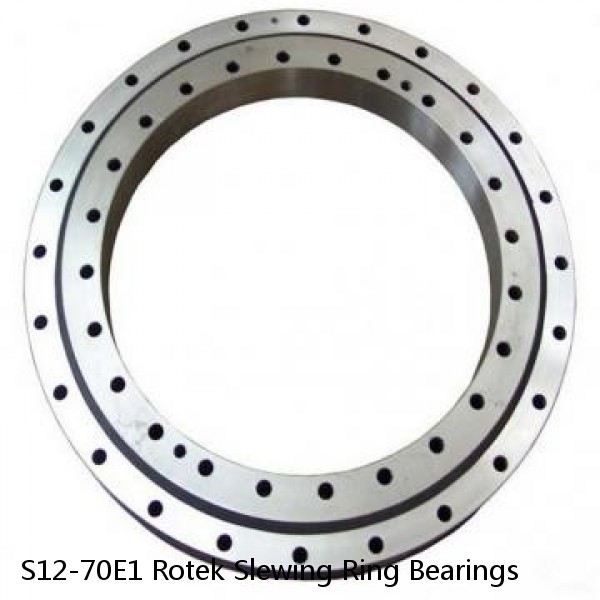 S12-70E1 Rotek Slewing Ring Bearings #1 image