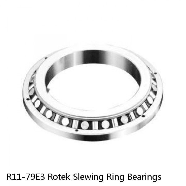 R11-79E3 Rotek Slewing Ring Bearings #1 image