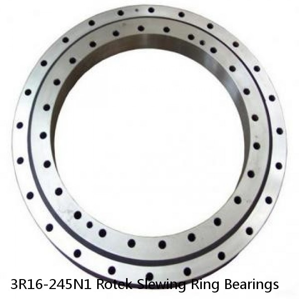 3R16-245N1 Rotek Slewing Ring Bearings #1 image