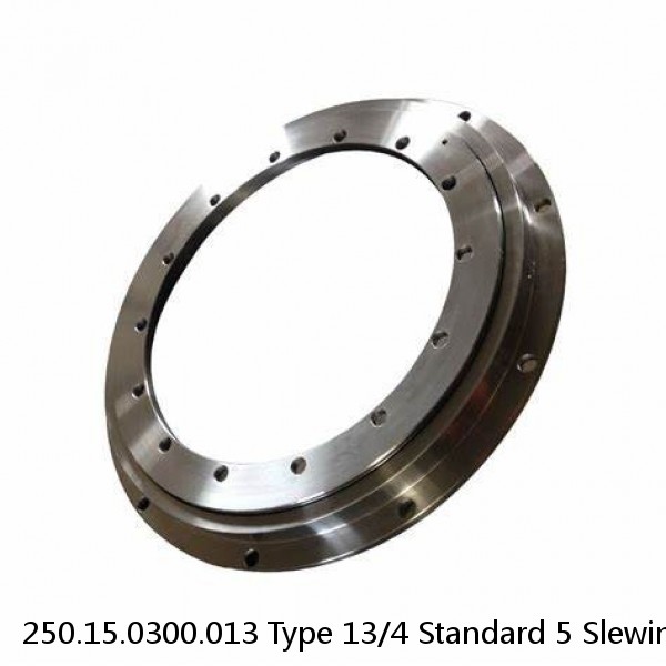 250.15.0300.013 Type 13/4 Standard 5 Slewing Ring Bearings #1 image