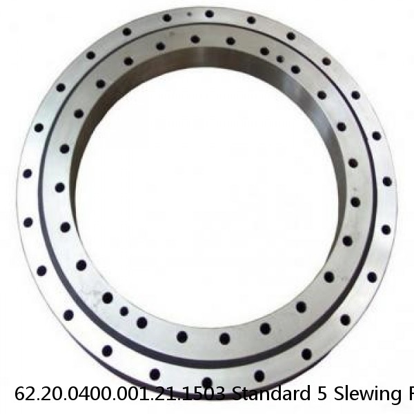 62.20.0400.001.21.1503 Standard 5 Slewing Ring Bearings #1 image