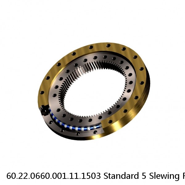 60.22.0660.001.11.1503 Standard 5 Slewing Ring Bearings #1 image