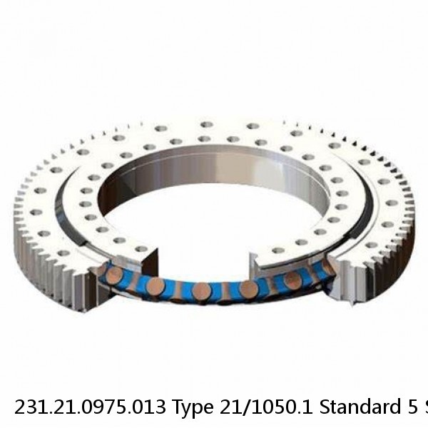 231.21.0975.013 Type 21/1050.1 Standard 5 Slewing Ring Bearings #1 image