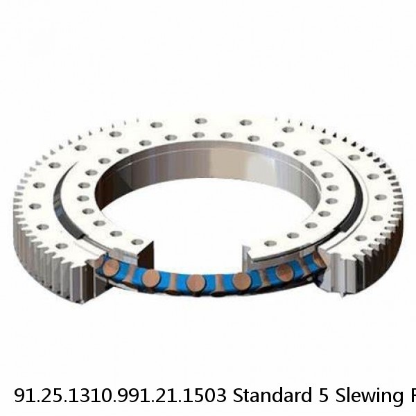 91.25.1310.991.21.1503 Standard 5 Slewing Ring Bearings #1 image