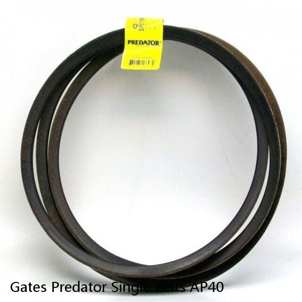 Gates Predator Single Belts AP40 #1 image