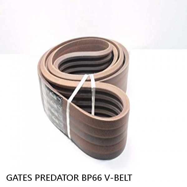GATES PREDATOR BP66 V-BELT  #1 image