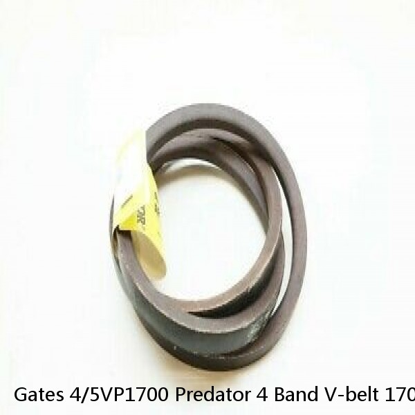 Gates 4/5VP1700 Predator 4 Band V-belt 170in 2-3/4in #1 image
