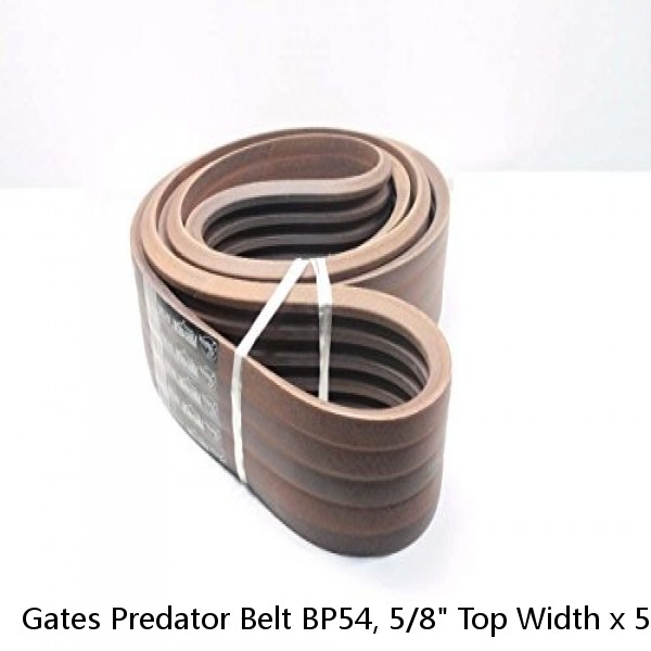 Gates Predator Belt BP54, 5/8" Top Width x 57" Outside 9186-0054 #1 image